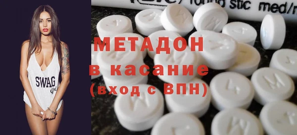 прущие грибы Алзамай