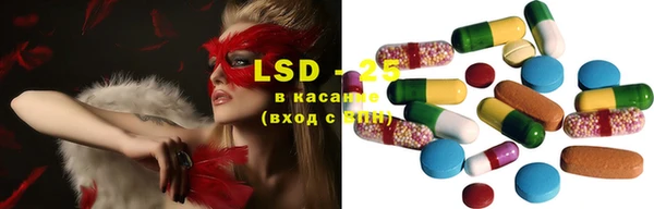PSILOCYBIN Алексеевка